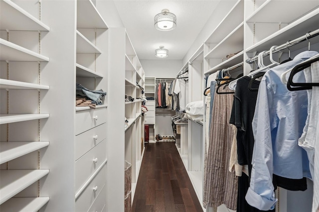 spacious closet with dark hardwood / wood-style flooring