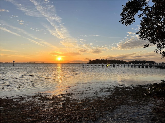 property view of water with a boat dock