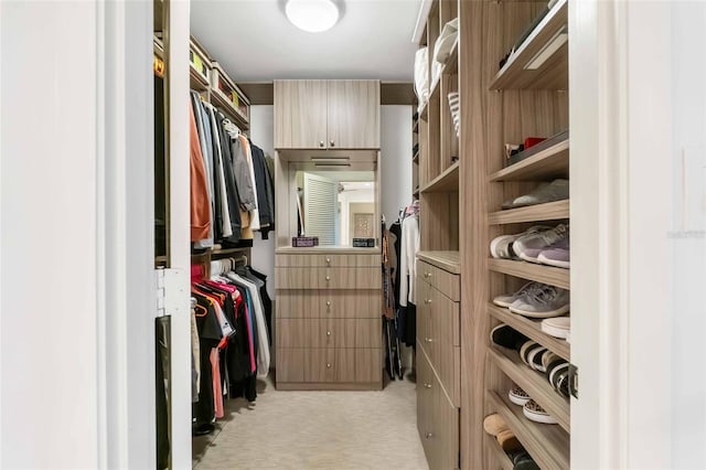 spacious closet featuring light carpet