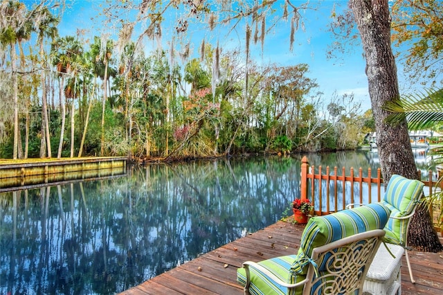 dock area featuring a water view