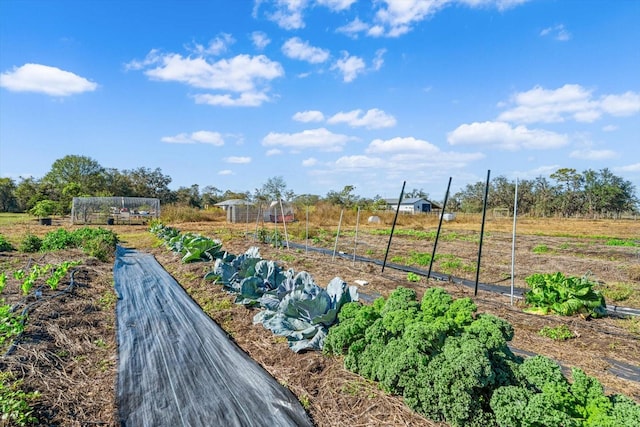 surrounding community featuring a rural view