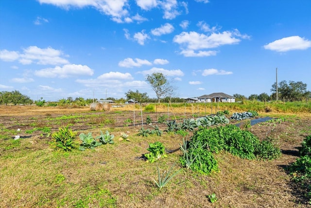 view of yard featuring a rural view