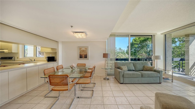 dining room featuring expansive windows, a healthy amount of sunlight, and light tile patterned floors