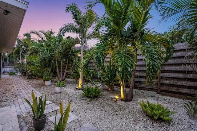 view of yard at dusk