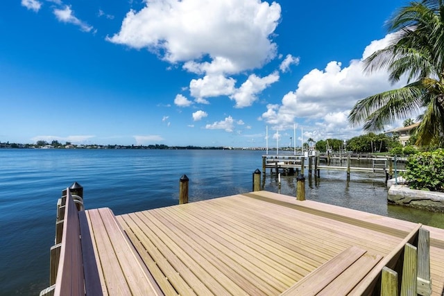 dock area featuring a water view