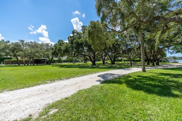 view of community with a lawn