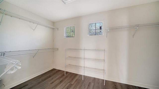 spacious closet with dark hardwood / wood-style floors