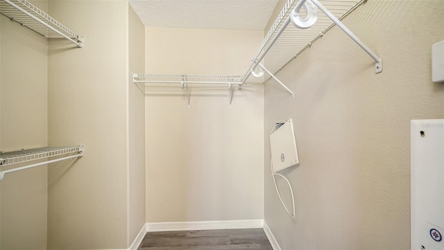 spacious closet featuring hardwood / wood-style flooring