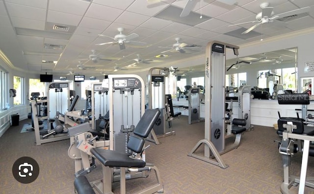 exercise room featuring carpet flooring and ceiling fan