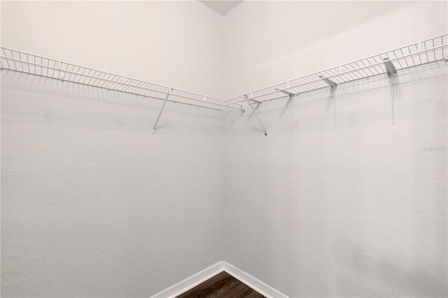 walk in closet with hardwood / wood-style flooring