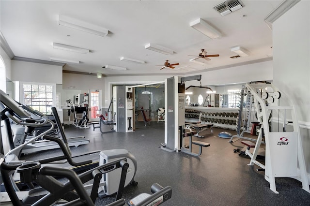 workout area with ceiling fan and ornamental molding