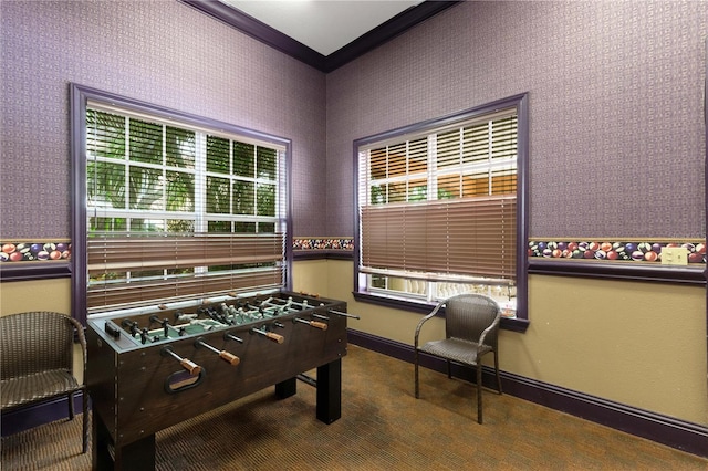 recreation room with crown molding and carpet floors