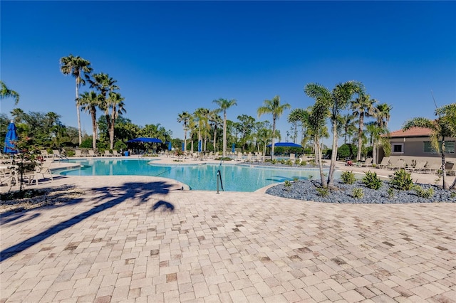 view of pool with a patio area