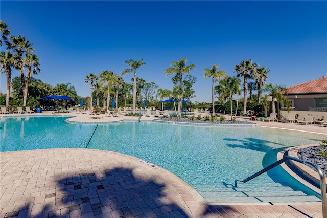 view of swimming pool with a patio