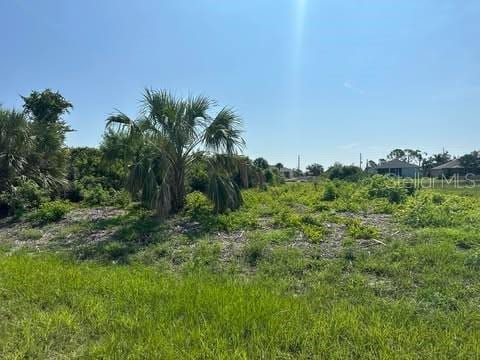 207 Redwood Rd, Rotonda West, FL 33947 - photo 4