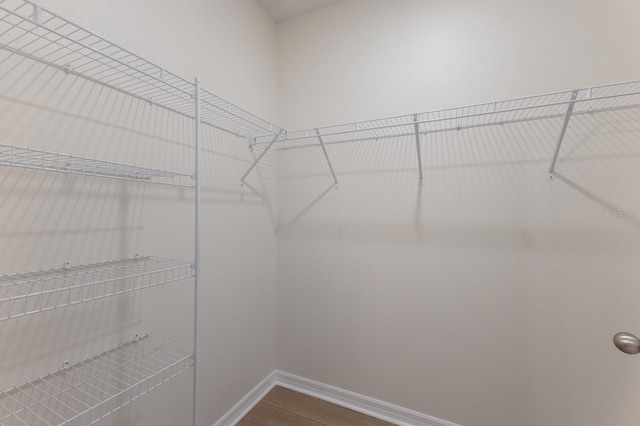 spacious closet with hardwood / wood-style flooring