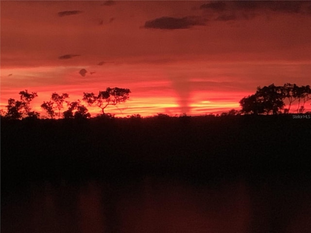 view of nature at dusk