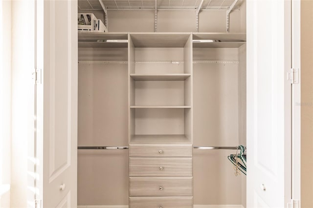 view of closet