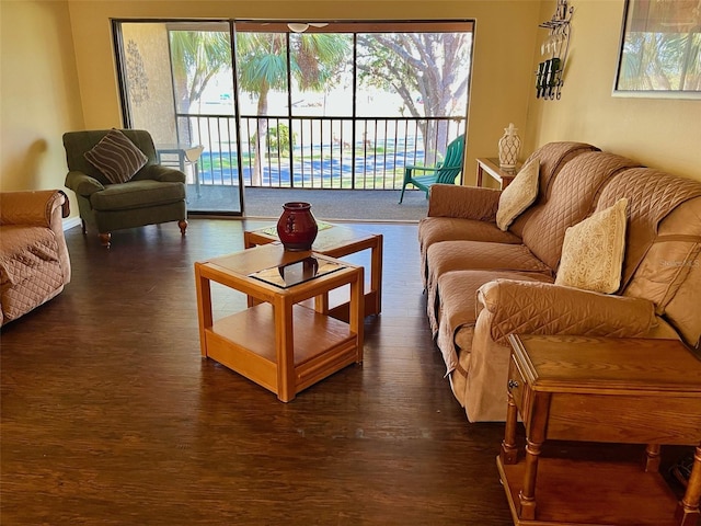 living room featuring dark hardwood / wood-style flooring