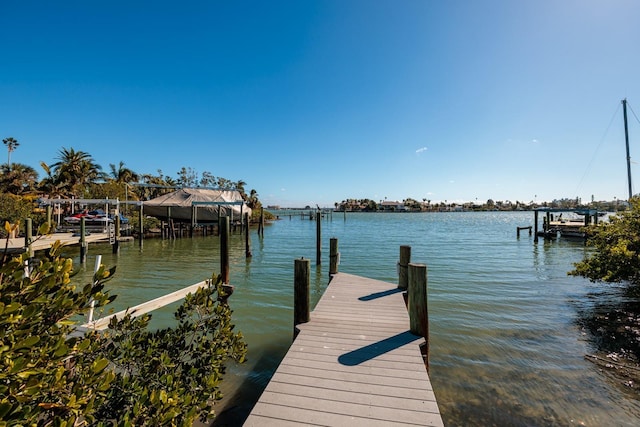 dock area with a water view