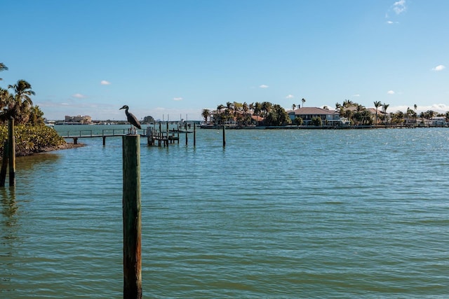 water view featuring a boat dock