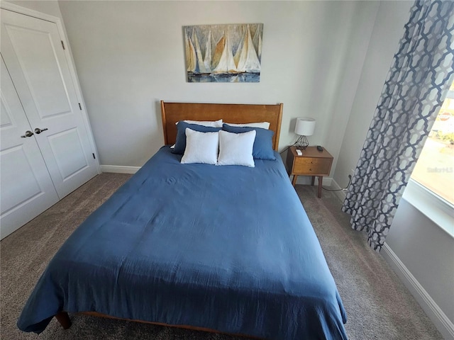 bedroom featuring carpet floors and a closet