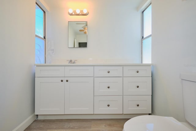 bathroom featuring hardwood / wood-style floors, vanity, and toilet