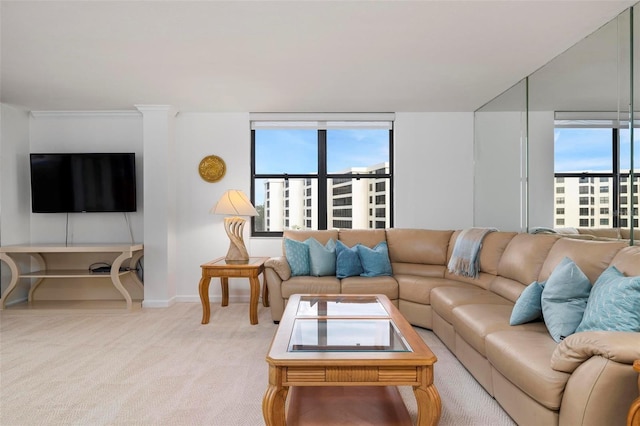 carpeted living room with plenty of natural light