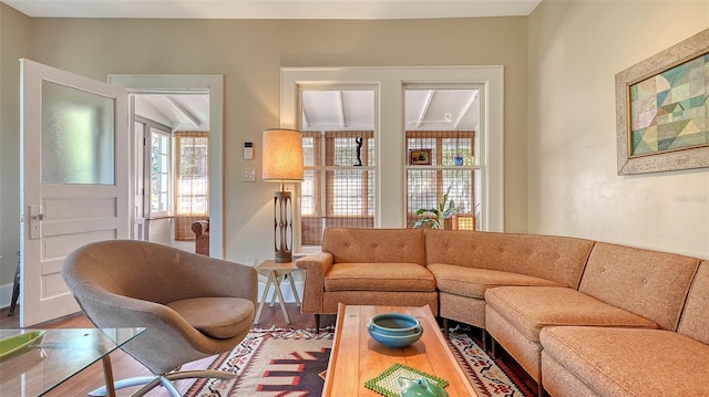 living room with hardwood / wood-style floors