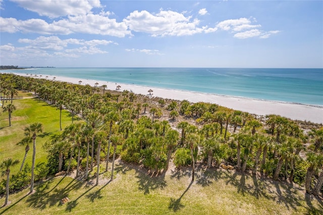 view of water feature featuring a beach view