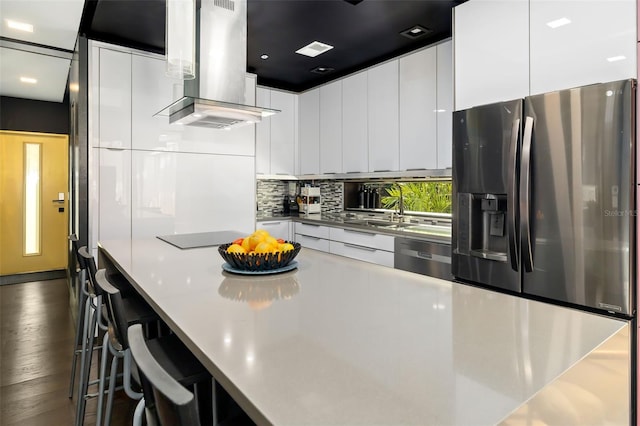 kitchen featuring white cabinets, ventilation hood, stainless steel appliances, and sink