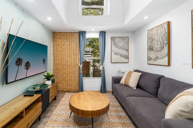 living room with wood-type flooring and a raised ceiling