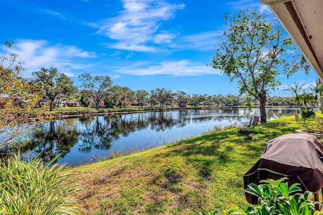 property view of water