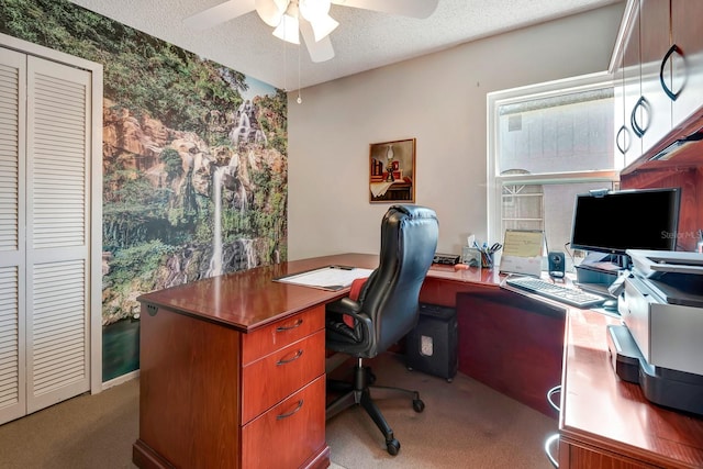 carpeted home office featuring a wealth of natural light, a textured ceiling, and ceiling fan