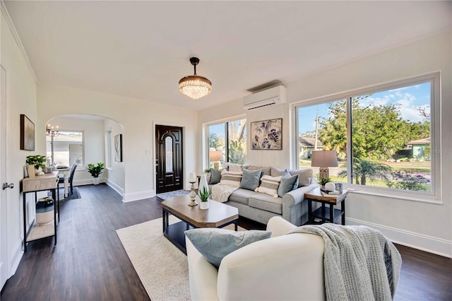 living room with a wall unit AC and dark hardwood / wood-style flooring