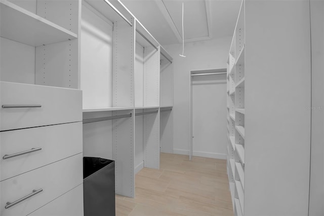 view of walk in closet