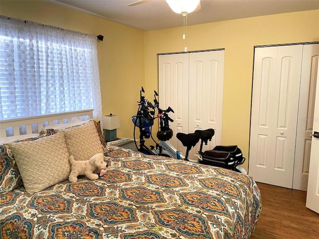 bedroom featuring multiple closets, ceiling fan, and dark hardwood / wood-style flooring