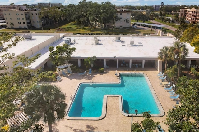 view of pool featuring a patio