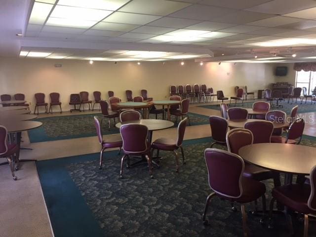 dining room featuring a paneled ceiling and carpet floors