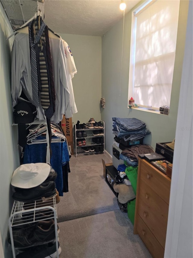 spacious closet with carpet flooring