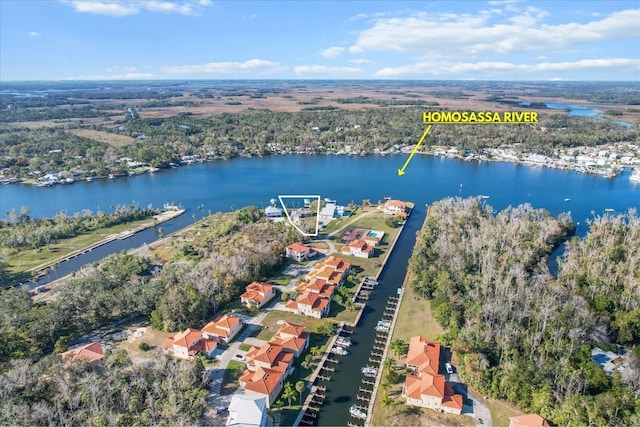 aerial view with a water view