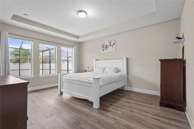 bedroom featuring a raised ceiling and hardwood / wood-style floors