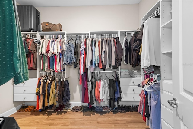 spacious closet featuring wood-type flooring