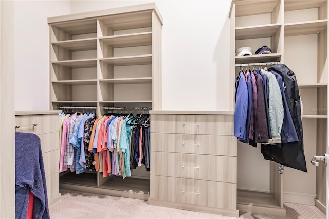 spacious closet with light colored carpet