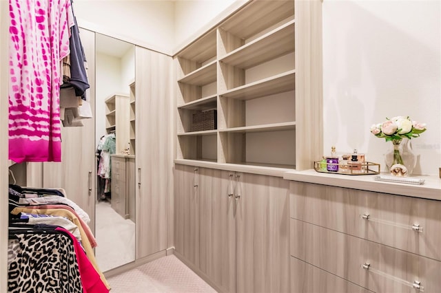 view of spacious closet