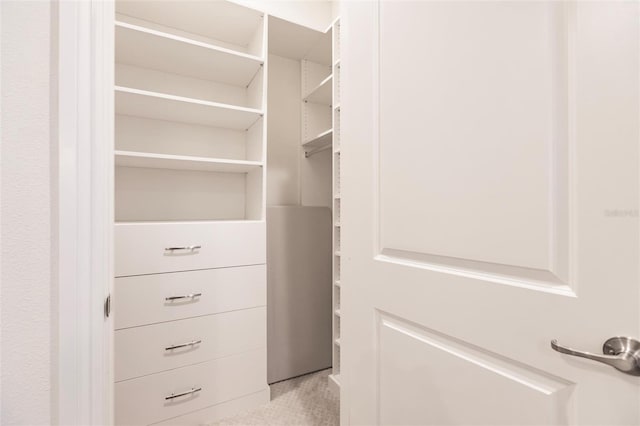 spacious closet featuring light colored carpet