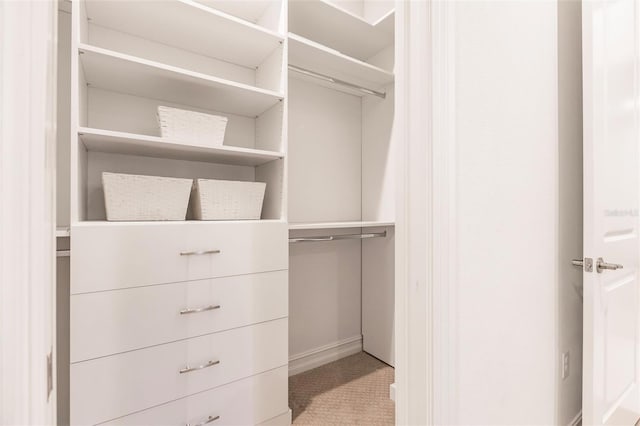 view of spacious closet