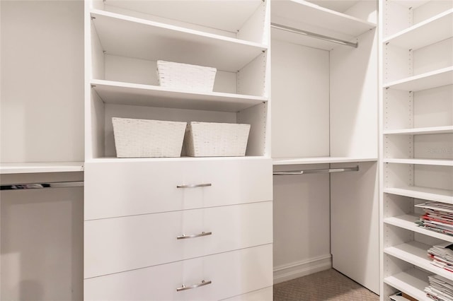 view of spacious closet