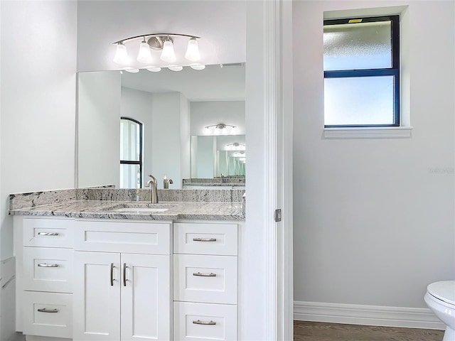 bathroom with hardwood / wood-style floors, vanity, and toilet