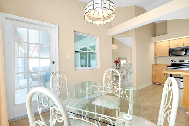 dining room featuring a healthy amount of sunlight